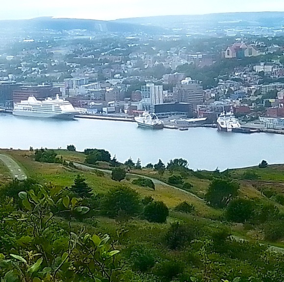 Meet your Posher, Denise - Picture 3 of 4